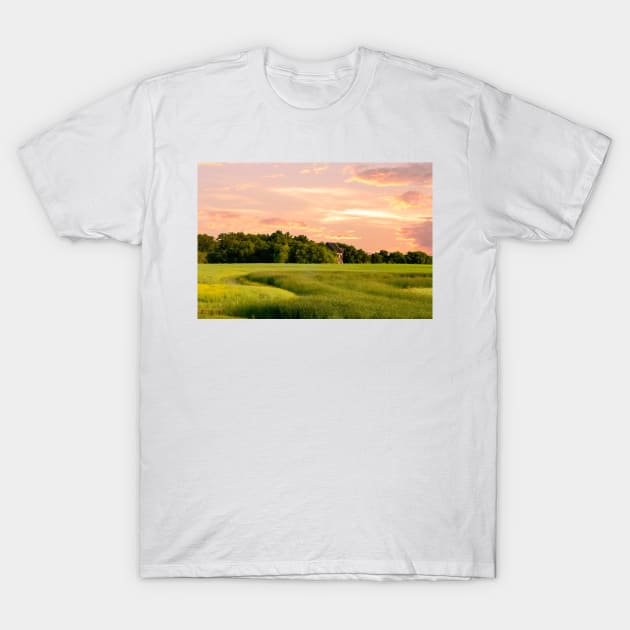 Glorious Field T-Shirt by Memories4you